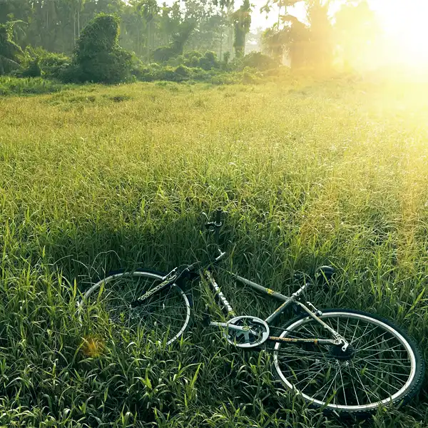 Bild på en cykel som ligger i gräset